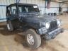 1999 JEEP  WRANGLER