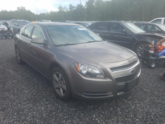 2011 CHEVROLET MALIBU 1LT 1G1ZC5EU1BF198281