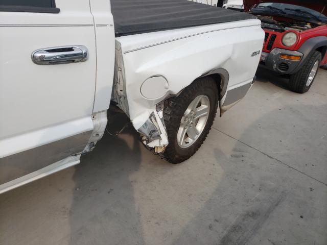 2011 DODGE DAKOTA SLT 1D7RW3GKXBS512019