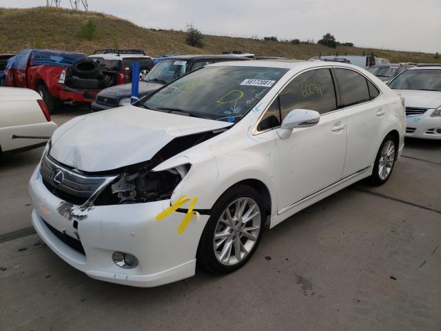 2010 LEXUS HS 250H JTHBB1BA7A2003979