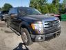 2013 FORD  F-150