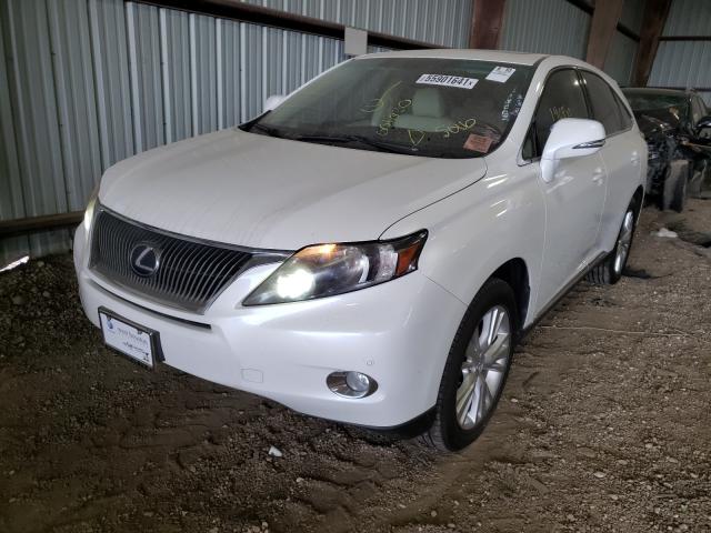 2010 LEXUS RX 450 JTJZB1BA9A2001020