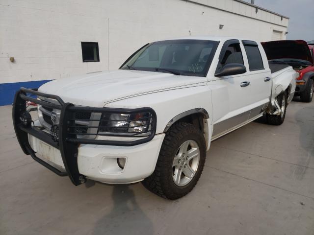 2011 DODGE DAKOTA SLT 1D7RW3GKXBS512019
