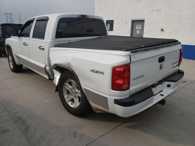 2011 DODGE DAKOTA SLT 1D7RW3GKXBS512019