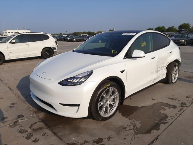 2021 TESLA MODEL Y 5YJYGAEE5MF211503