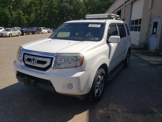 2010 HONDA PILOT 5FNYF3H8XAB022622