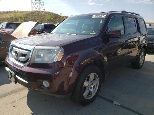 2010 HONDA PILOT 5FNYF4H57AB020614