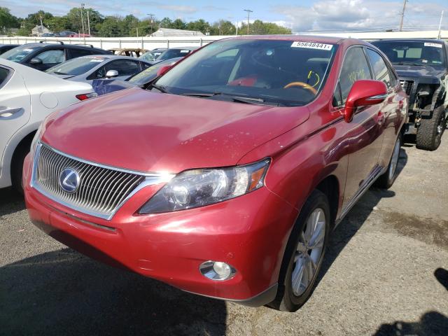 2010 LEXUS RX 450 JTJZB1BA4A2001670