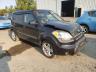 2010 KIA  SOUL