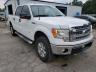 2013 FORD  F-150