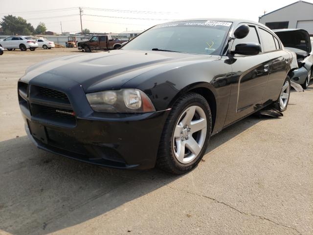 2013 DODGE CHARGER PO 2C3CDXAT3DH555176