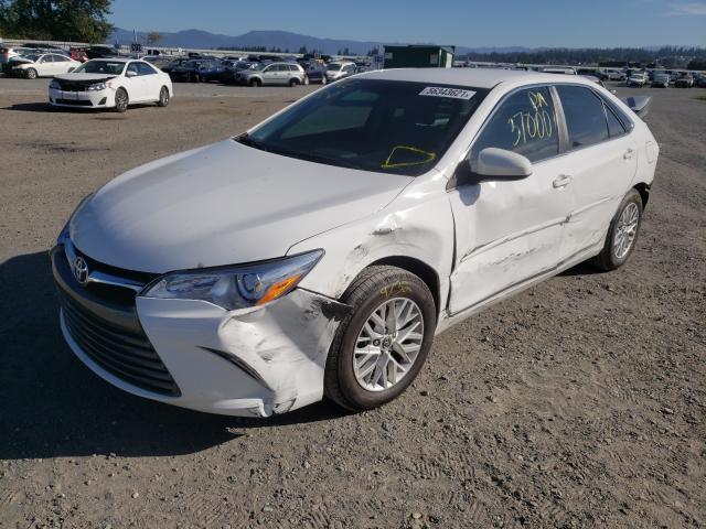 2016 TOYOTA CAMRY LE 4T4BF1FK2GR577137