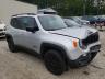 2021 JEEP  RENEGADE