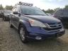 2010 HONDA  CRV