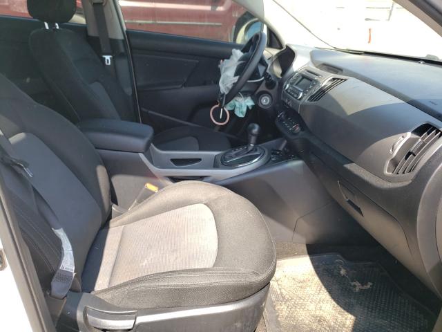 KNDPB3AC8G7794475 KIA Sportage Lx