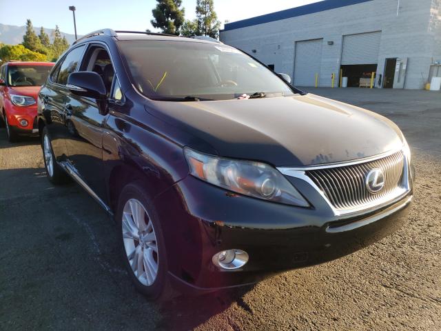 2010 LEXUS RX 450 JTJBC1BA9A2031536
