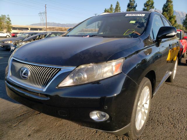 2010 LEXUS RX 450 JTJBC1BA9A2031536
