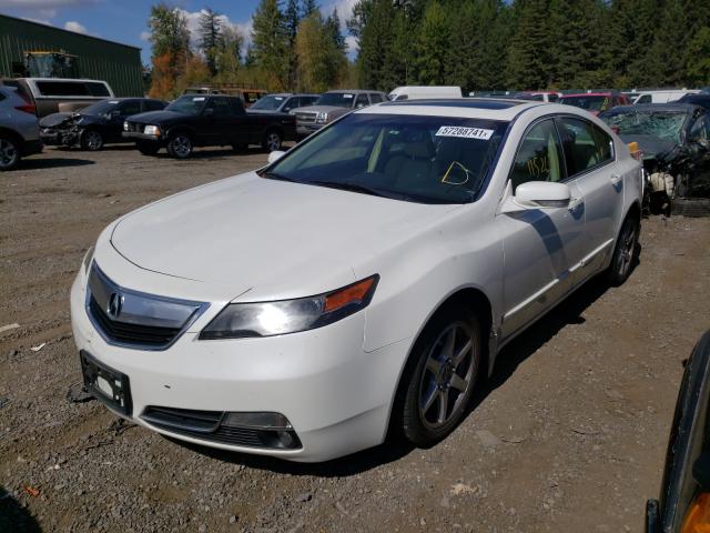 2013 ACURA TL TECH 19UUA8F52DA800610