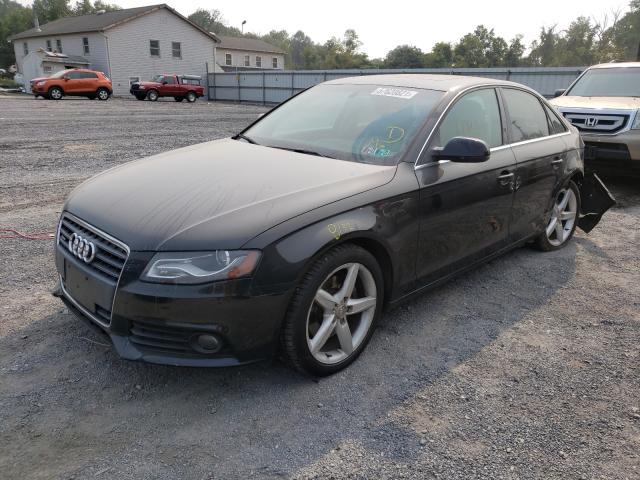 2010 AUDI A4 WAUKFAFL8AN041315