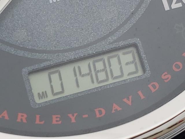 2013 HARLEY-DAVIDSON FLD SWITCH 1HD1GZM18DC333976