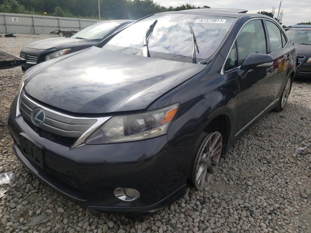 2010 LEXUS HS 250H JTHBB1BAXA2018556