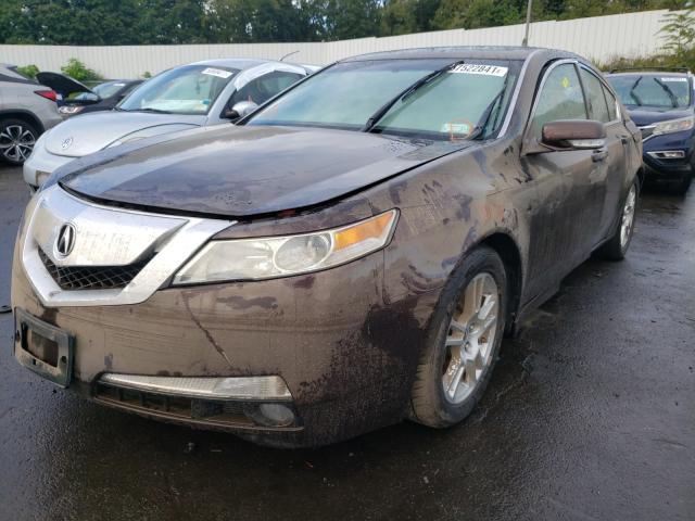 2011 ACURA TL 19UUA8F21BA008175