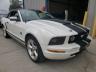 2007 FORD  MUSTANG