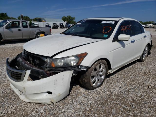 2010 HONDA ACCORD EXL 5KBCP3F83AB013854