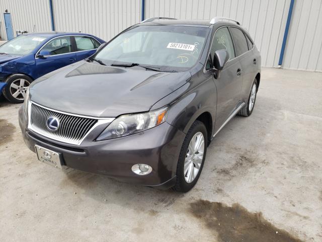 2010 LEXUS RX 450 JTJBC1BA8A2405764