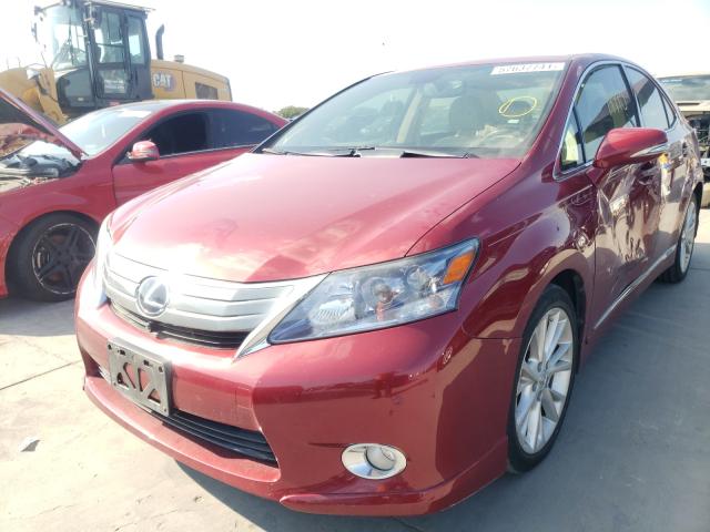 2010 LEXUS HS 250H JTHBB1BAXA2021957