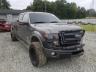 2013 FORD  F-150