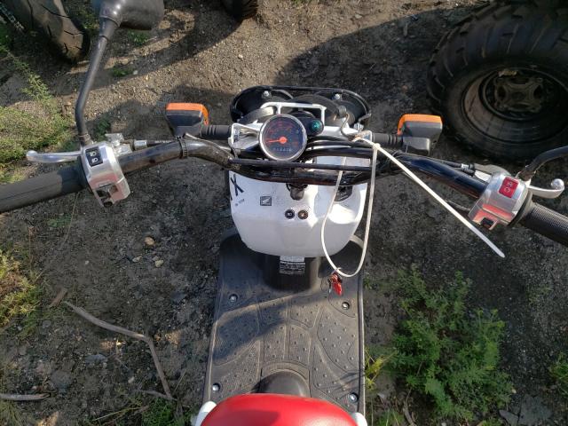 2019 HONDA NPS50 JH2AF5811KK701058