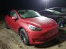 2020 TESLA  MODEL Y