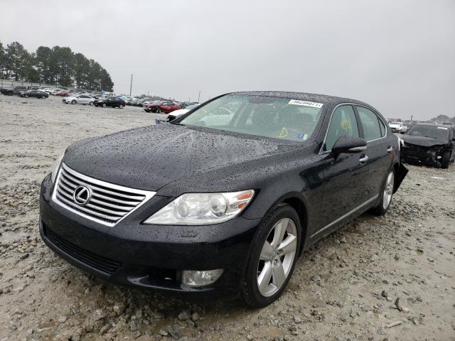 2010 LEXUS LS 460L JTHGL5EF0A5040081