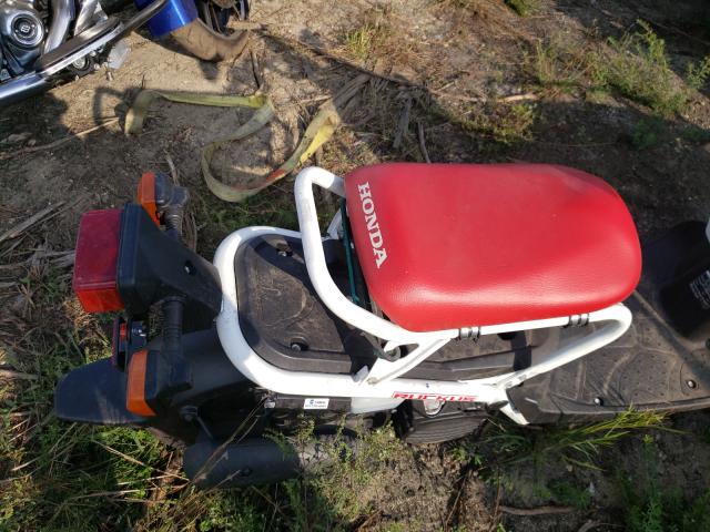2019 HONDA NPS50 JH2AF5811KK701058