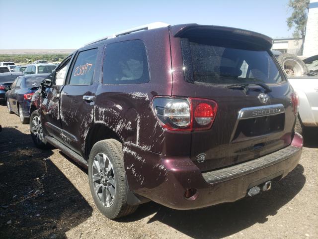 2019 TOYOTA SEQUOIA LI 5TDJY5G10KS174403