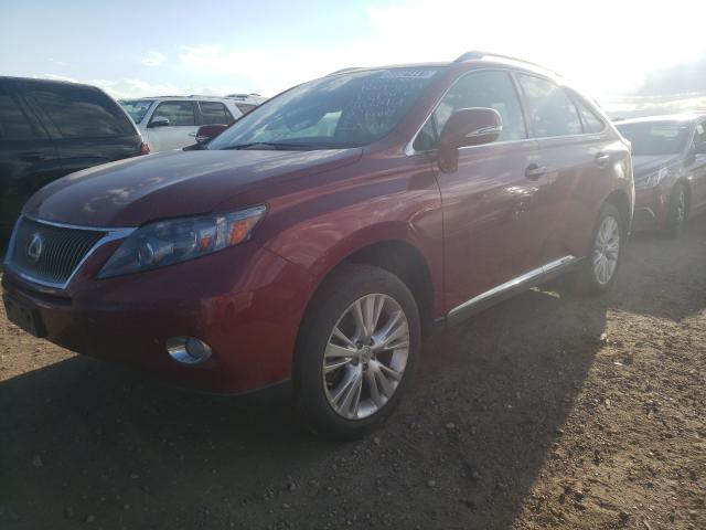 2010 LEXUS RX 450 JTJBC1BA0A2402194