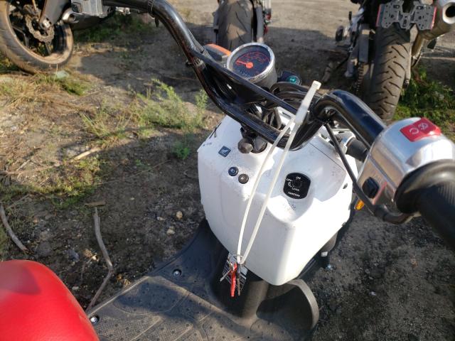 2019 HONDA NPS50 JH2AF5811KK701058