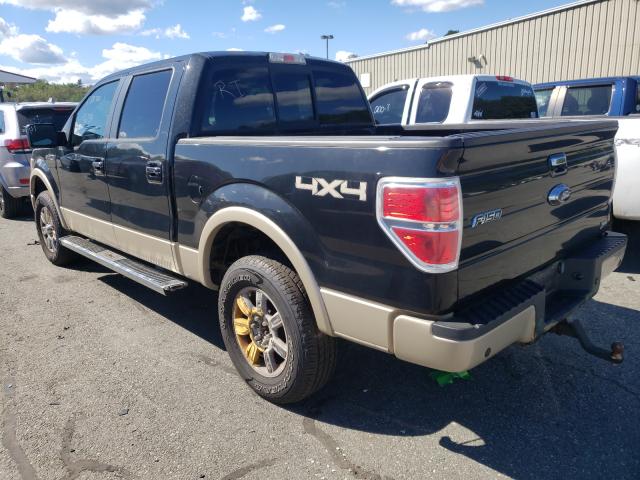 2010 FORD F-150 1FTFW1EV5AKB37590