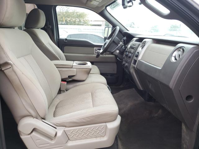 2010 FORD F150XLT4X4 1FTFW1EV1AFA53534