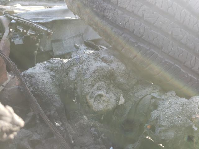 2021 DODGE 2500 3C6UR4HJ4MG539404