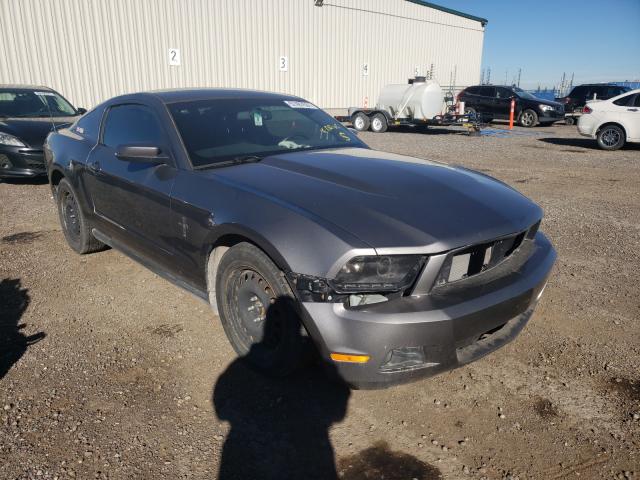 Mustang 2011 Gray