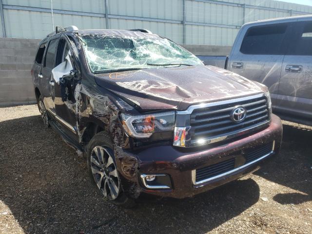 2019 TOYOTA SEQUOIA LI 5TDJY5G10KS174403