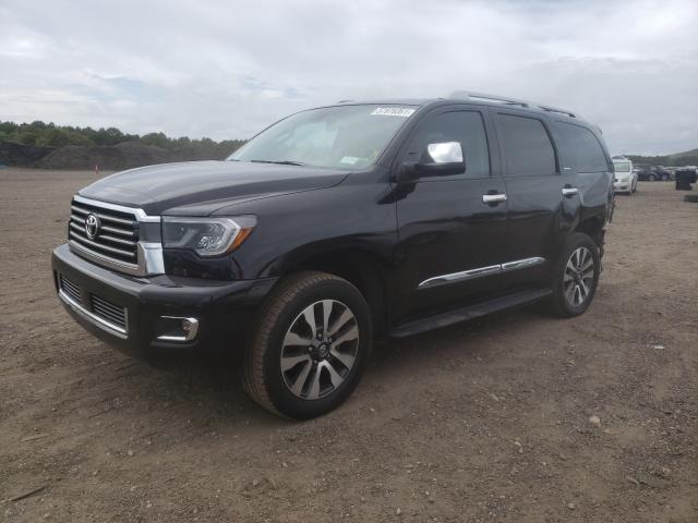 2019 TOYOTA SEQUOIA LI 5TDJY5G18KS166615