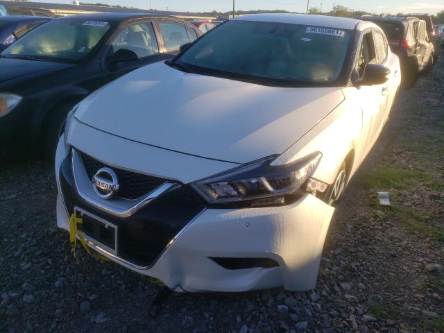 2017 NISSAN MAXIMA 1N4AA6AP6HC439719