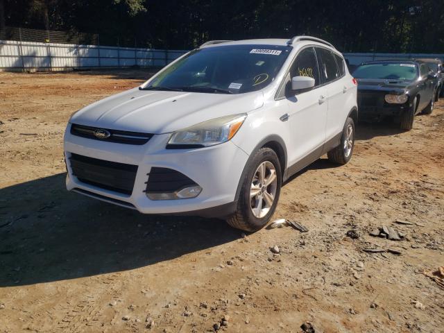 2014 FORD ESCAPE SE 1FMCU0GX5EUC02283