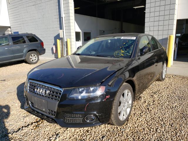 2011 AUDI A4 WAUBFAFLXBN007507