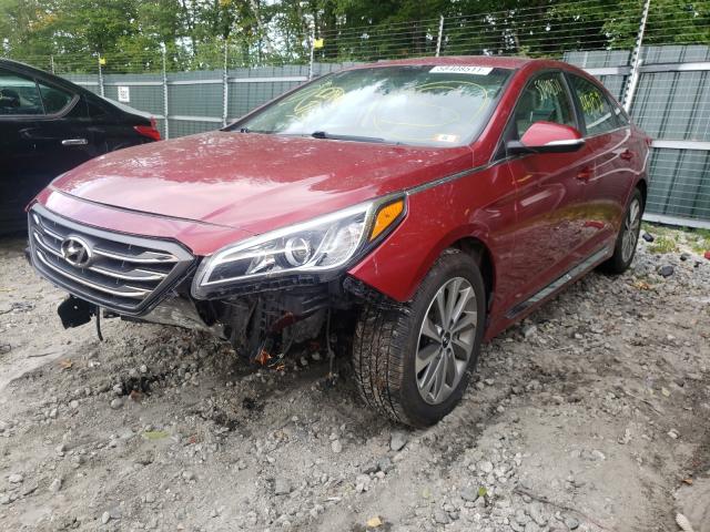 2015 HYUNDAI SONATA SPO 5NPE34AF5FH105572