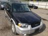 2007 FORD  ESCAPE