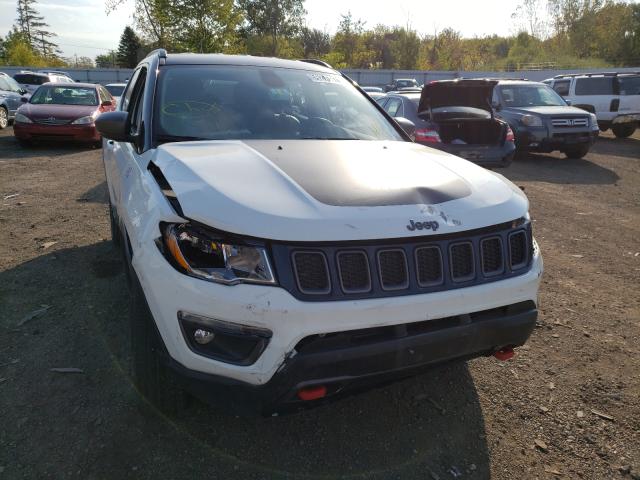 2019 JEEP COMPASS TR 3C4NJDDB1KT748087